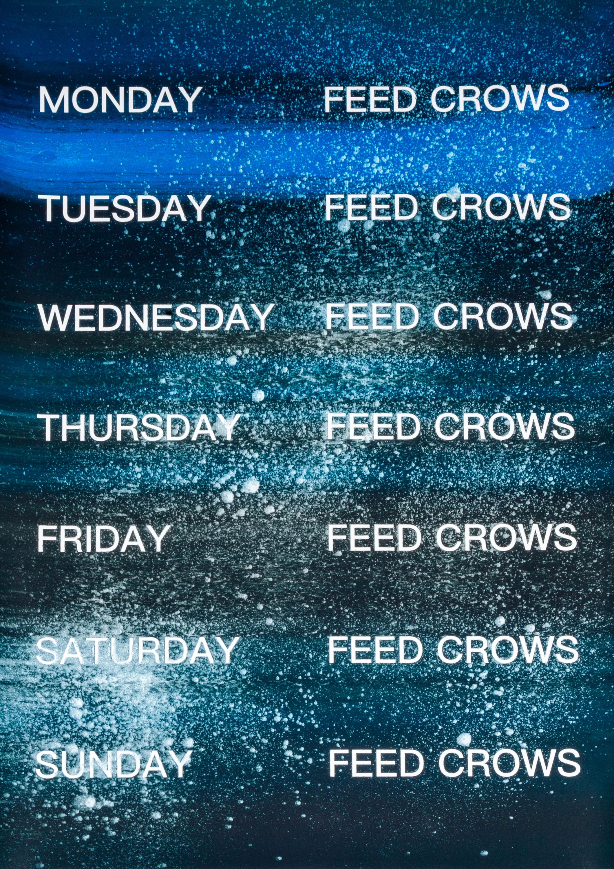 David Horvitz - Feed Crows (Print) - Image 32