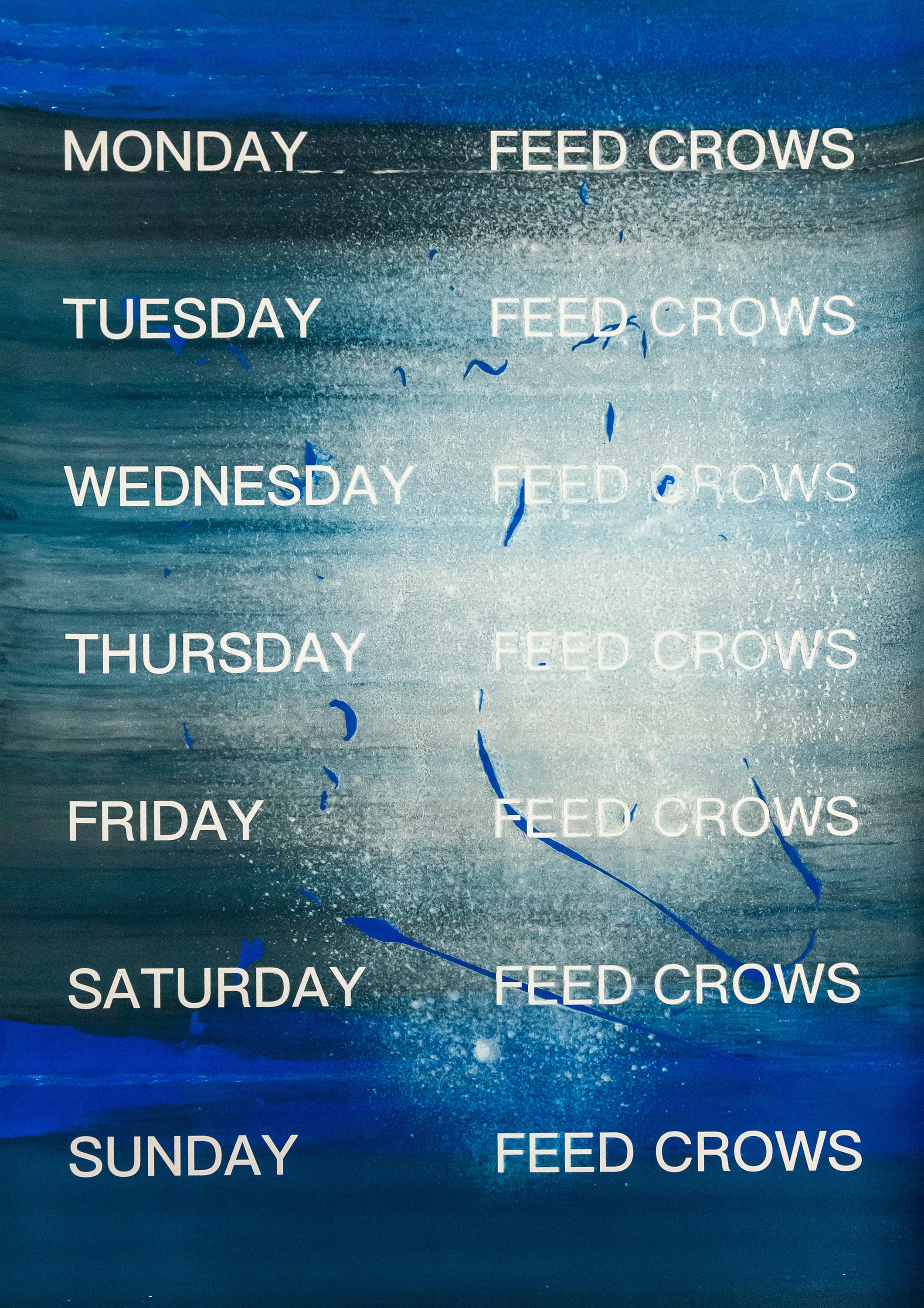 David Horvitz - Feed Crows (Print) - Image 4