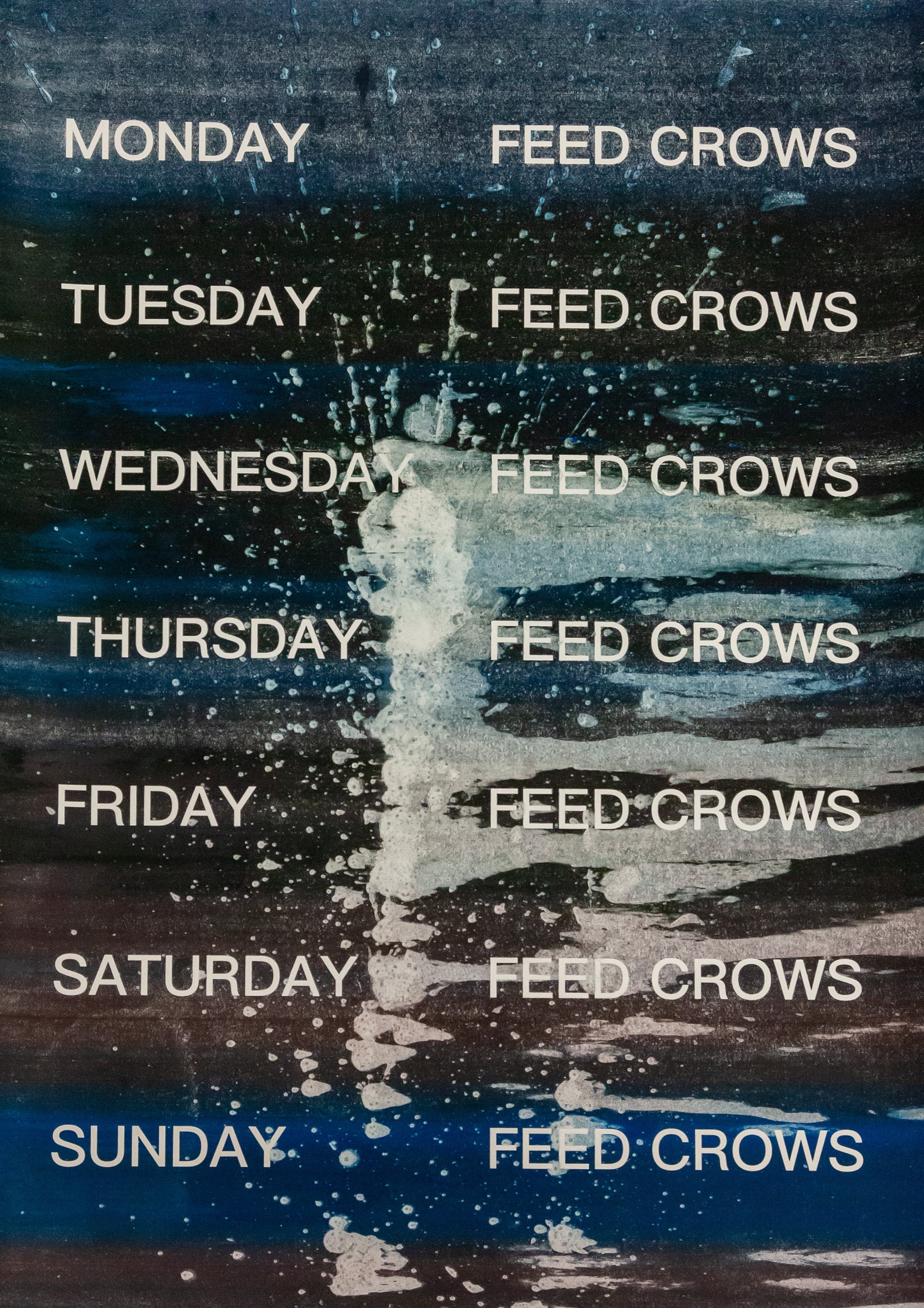 David Horvitz - Feed Crows (Print) - Image 8