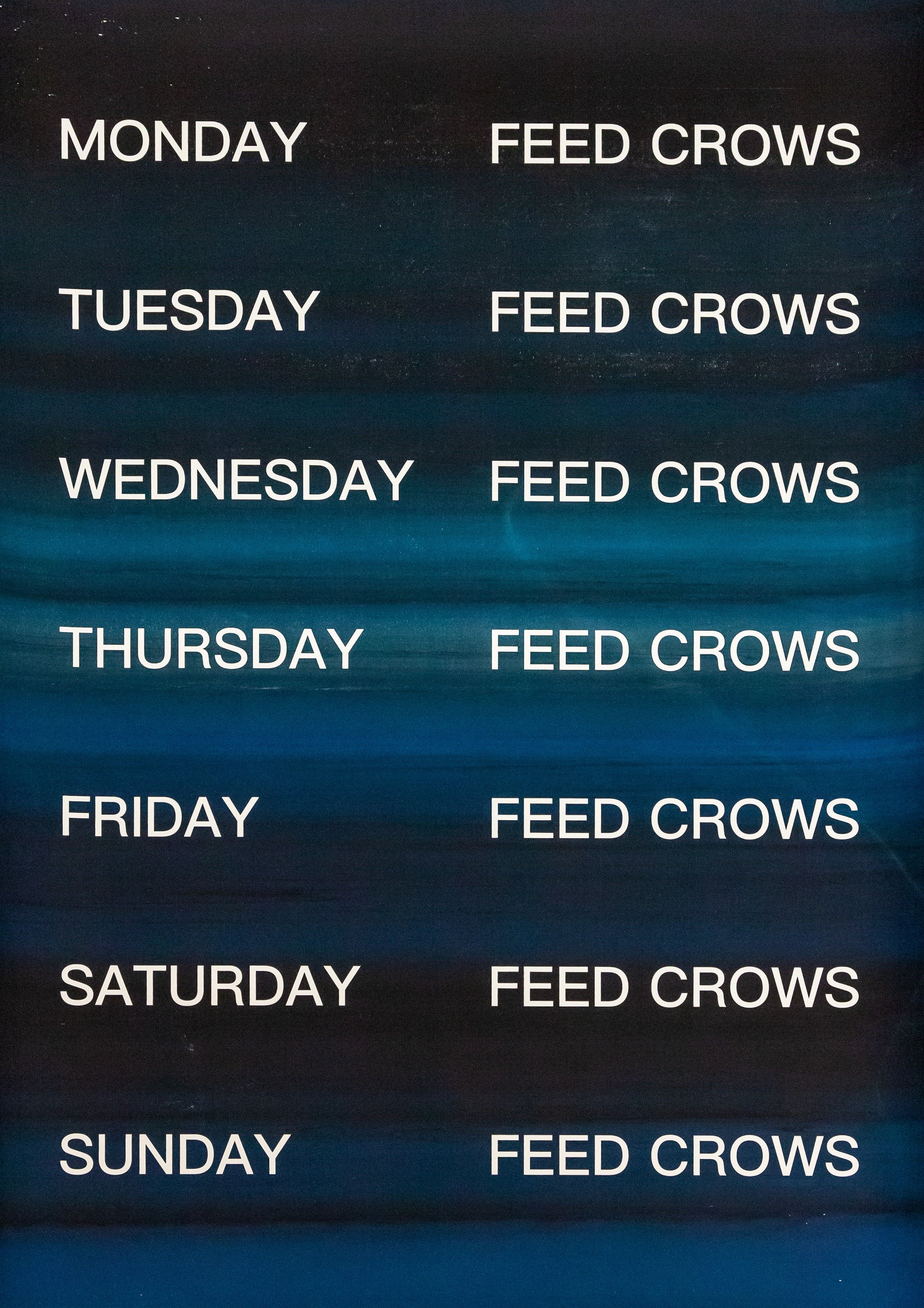 David Horvitz - Feed Crows (Print) - Image 9