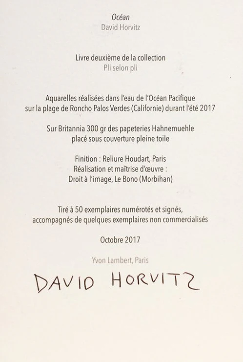 David Horvitz - Océan - Image 3