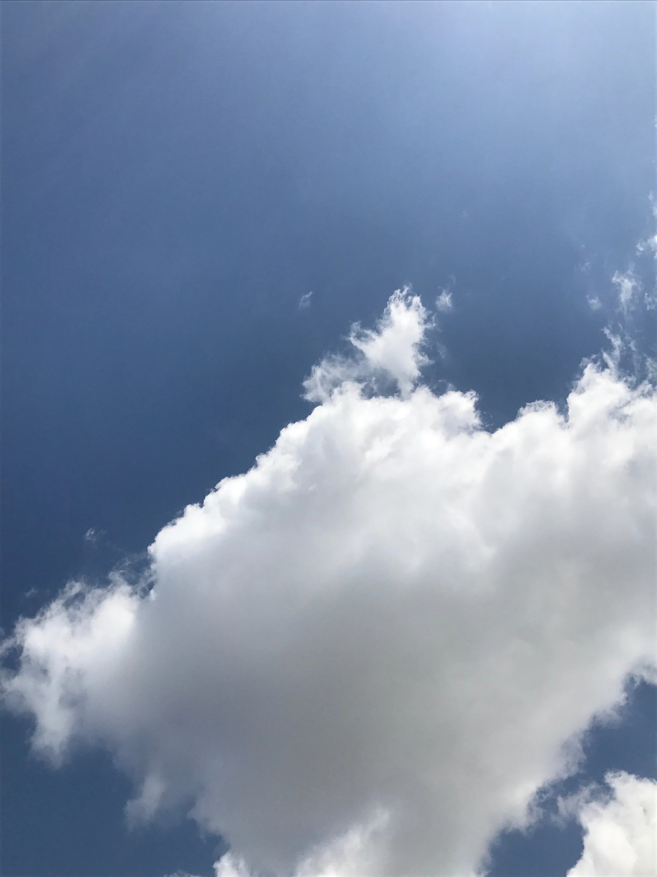 David Horvitz - "Yesterday" - monthly subscription / Abonnement - April 2026 - Image 3