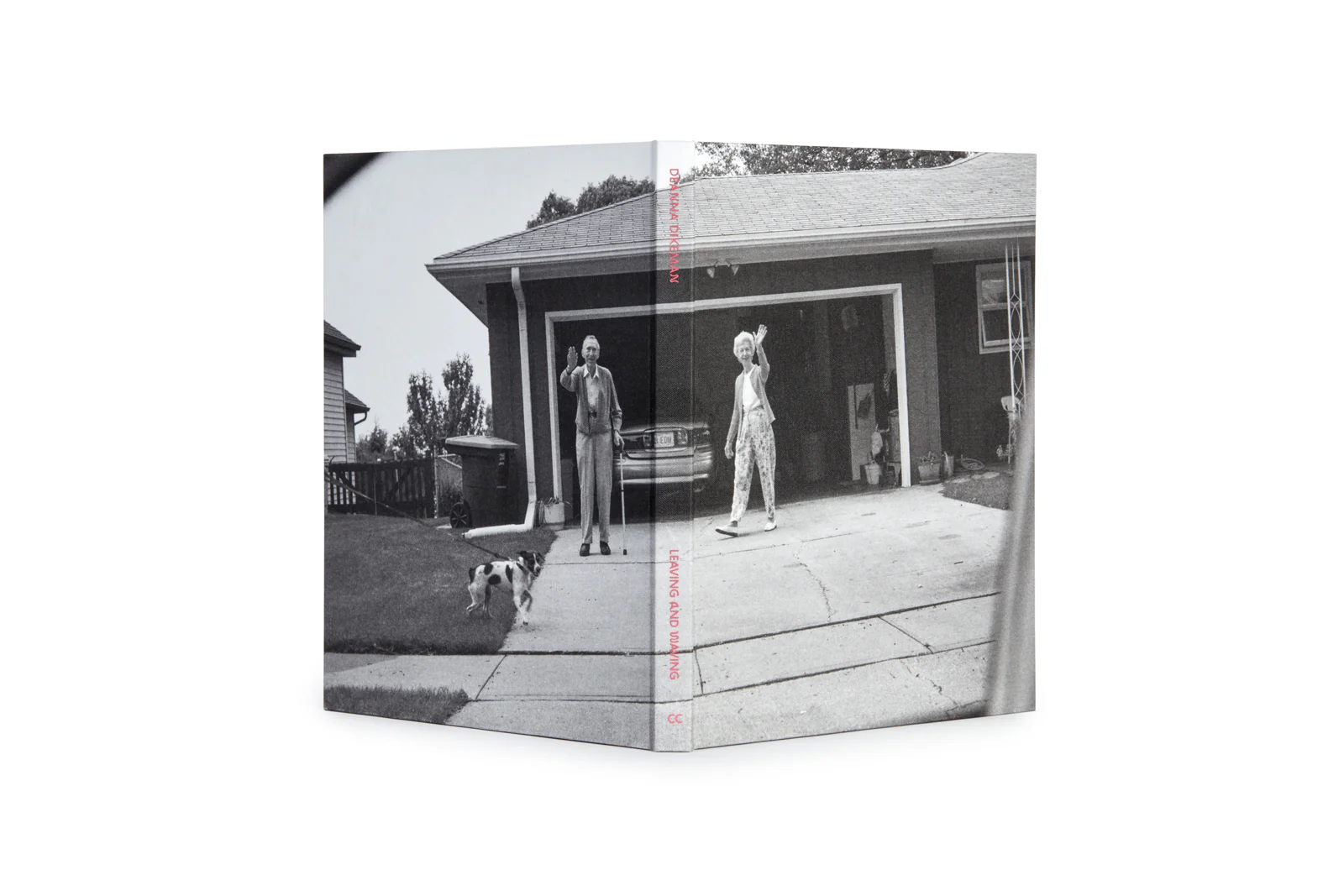 Deanna Dikeman - Leaving and Waving - Image 17