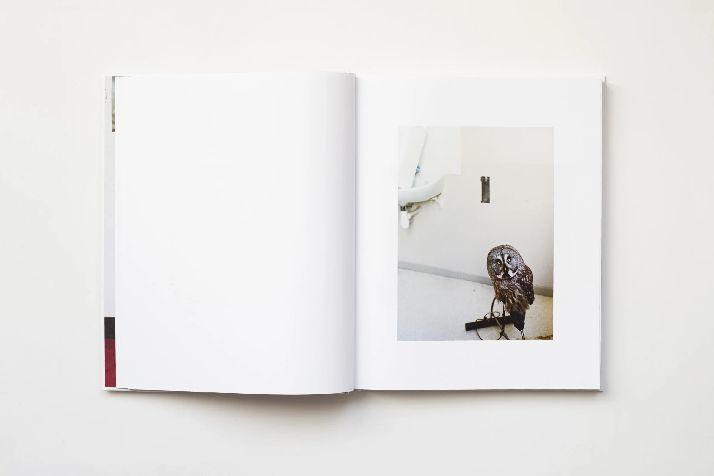 Estelle Hanania - IT’S ALIVE! A travers l’œuvre de Gisèle Vienne - Image 2