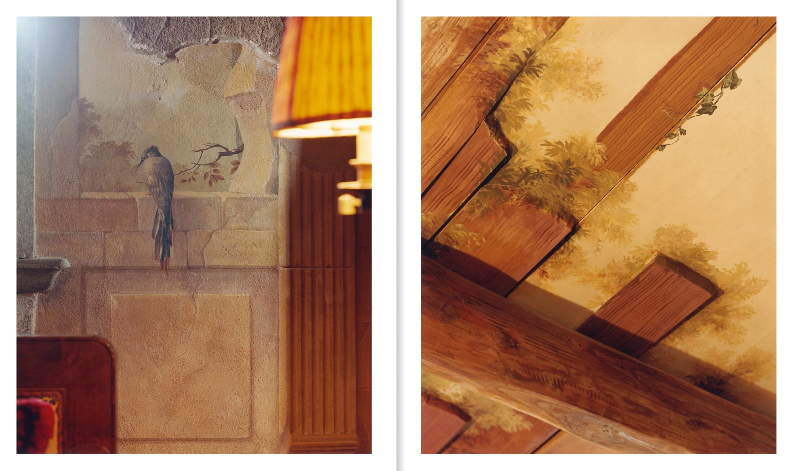 Estelle Hanania - The Italian Interiors of Elsa Peretti - Image 8