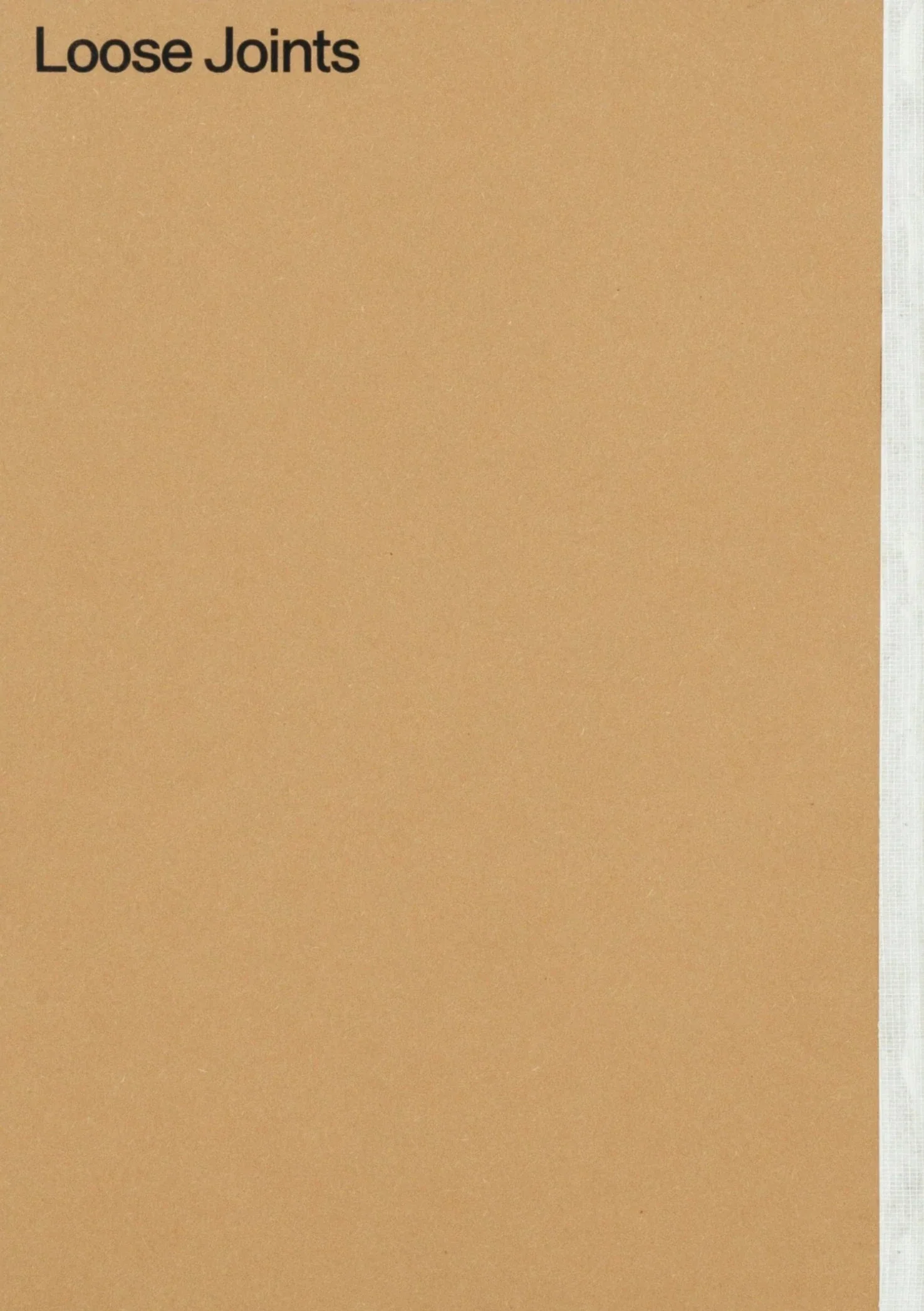 Felipe Romero Beltrán – Dialect - Image 2