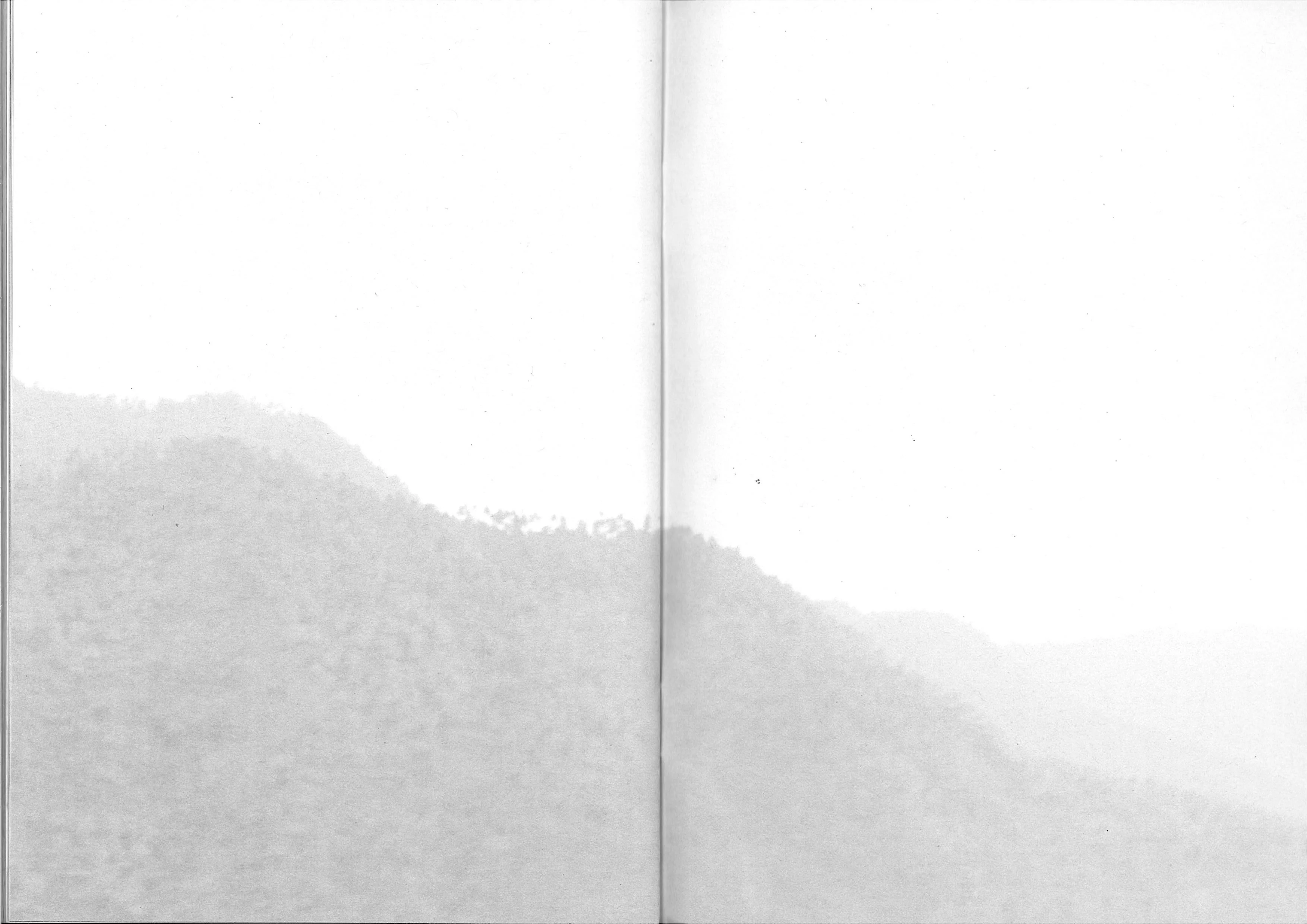 Fond Perdu - Vol. IV - Laura Henno - Image 7