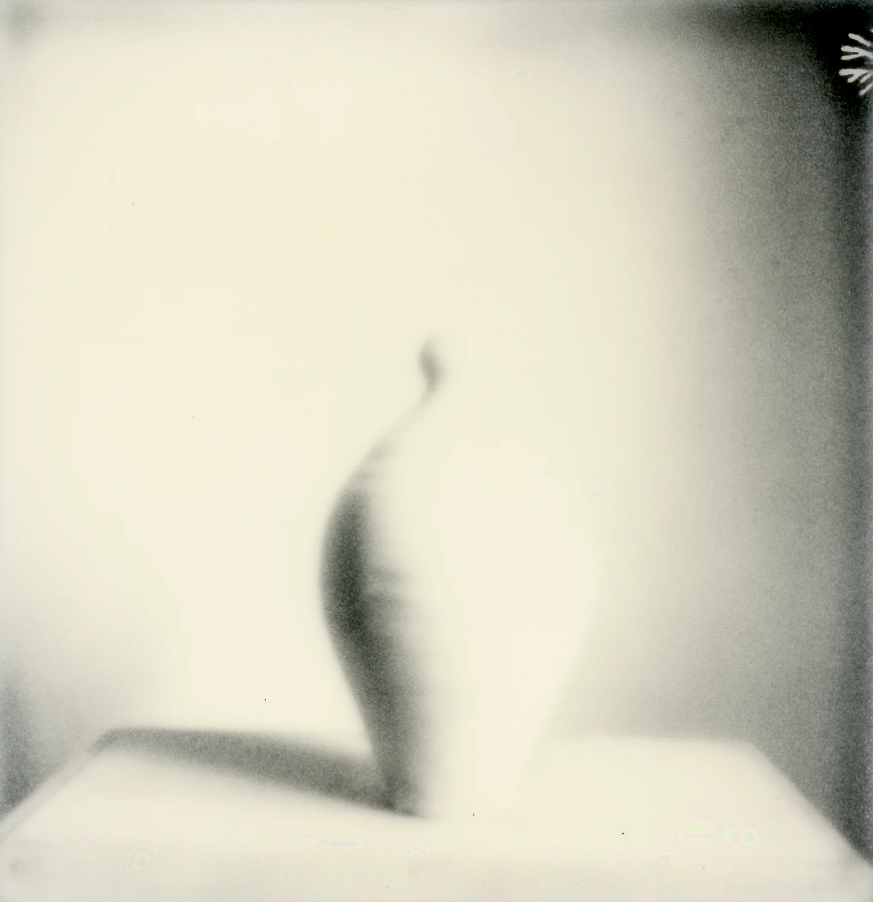 Francesco Patriarca - Clay Ghost - Image 3