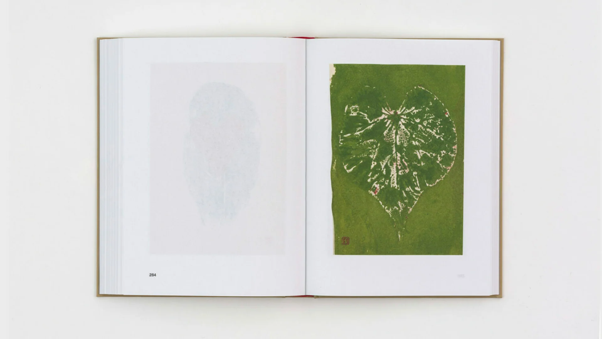 Gabriel Orozco - Diario de Plantas - Image 27
