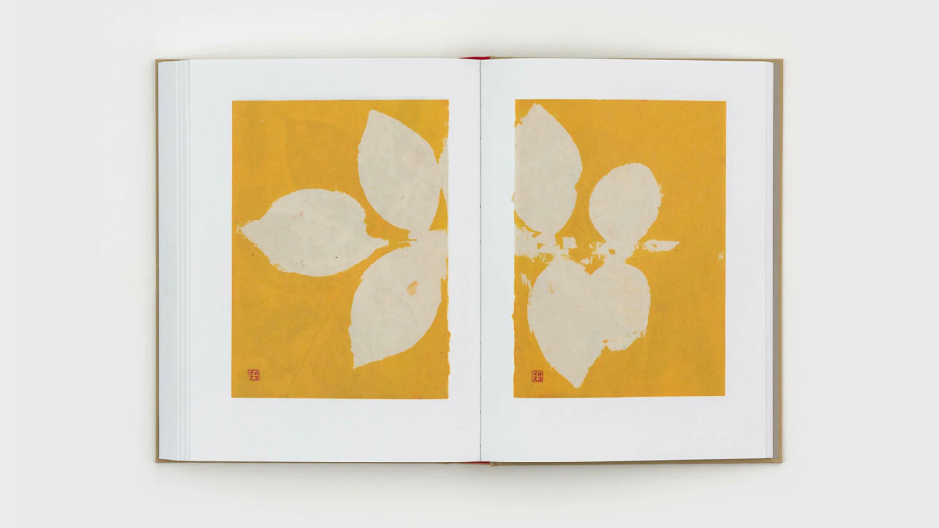 Gabriel Orozco - Diario de Plantas - Image 30