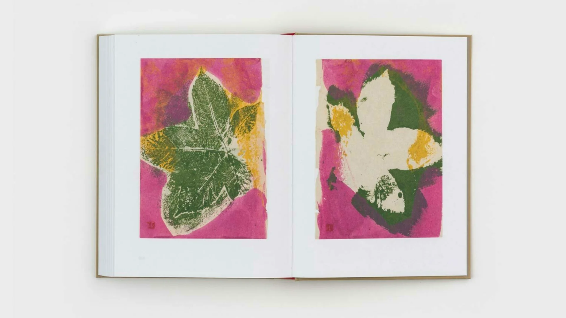 Gabriel Orozco - Diario de Plantas - Image 32