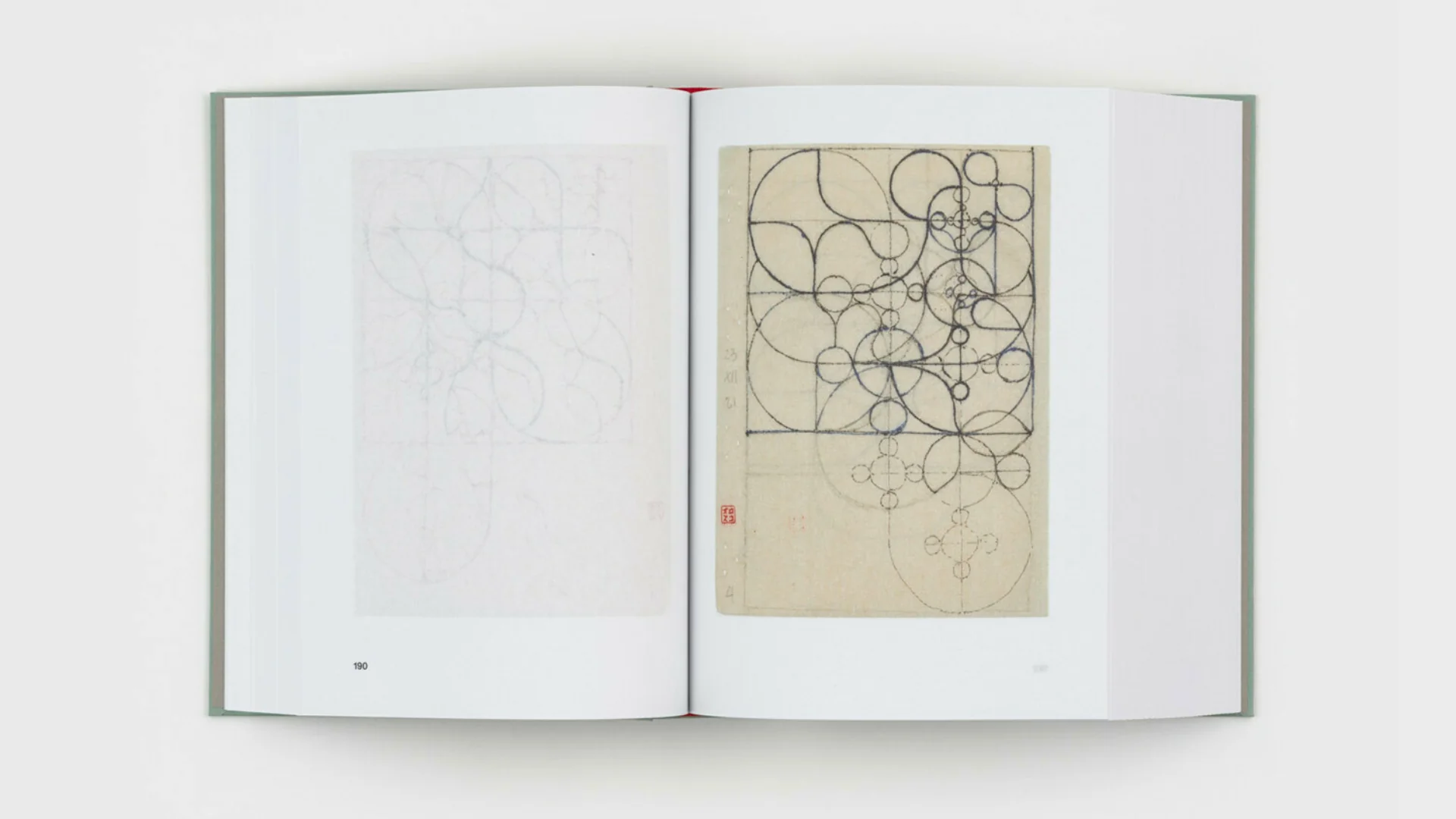 Gabriel Orozco - Diario de Plantas - Image 6