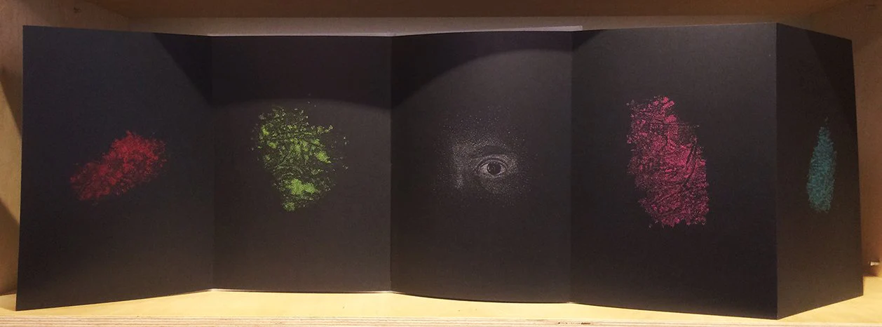 Giuseppe Penone - Identità - Image 2