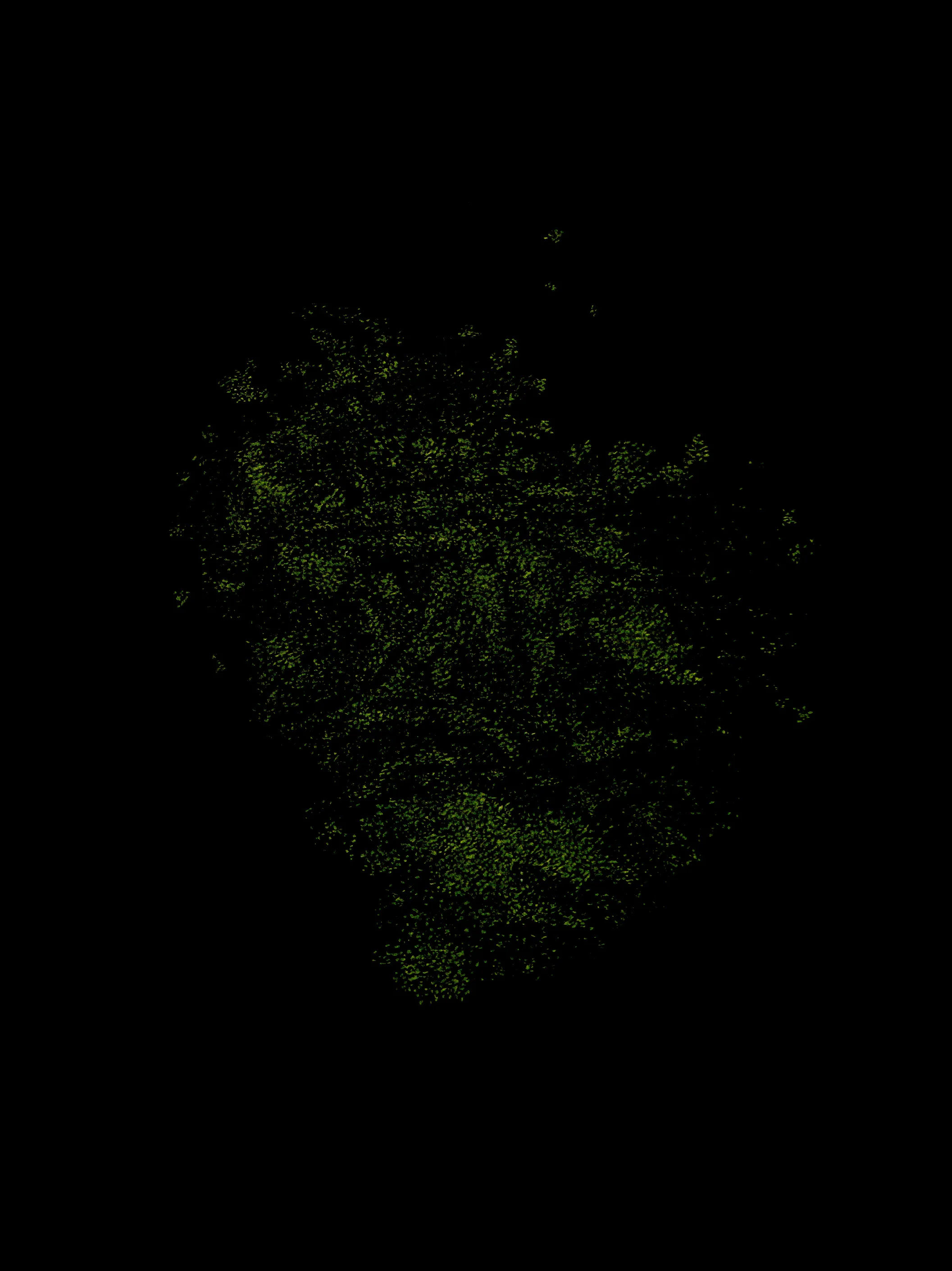 Giuseppe Penone - Identità - Image 4