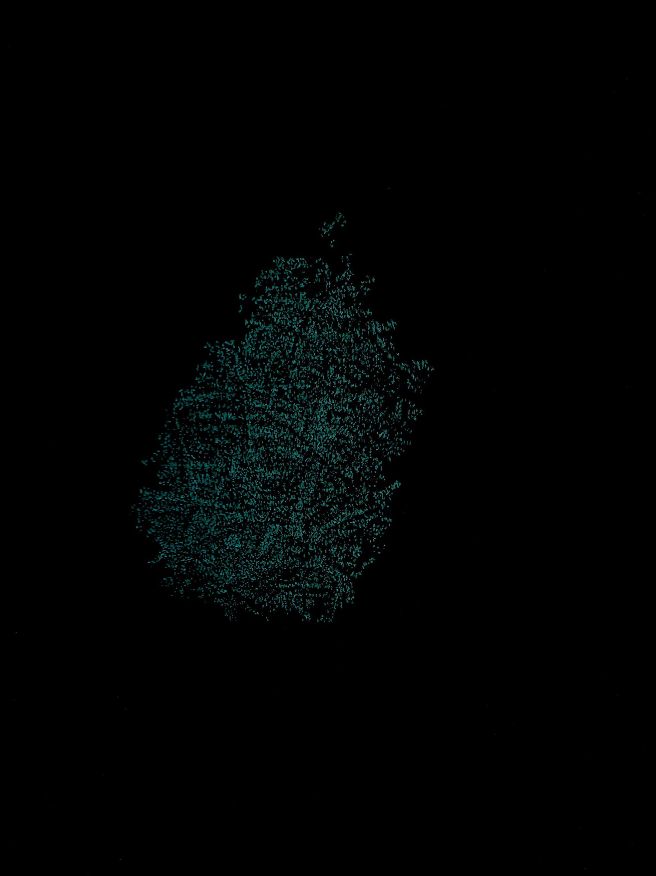 Giuseppe Penone - Identità - Image 7