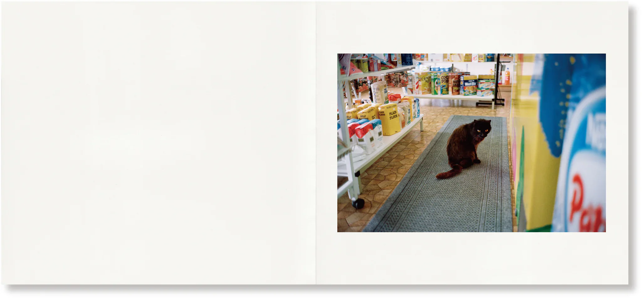 Greg Hunt - Everything I’m Trying To Tell You - Image 5