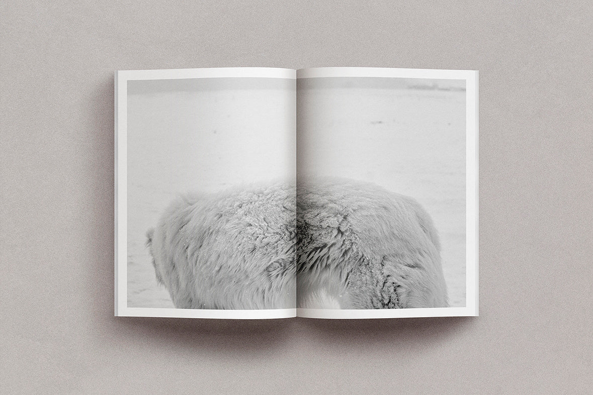 Grégoire Eloy - Brume - Image 3