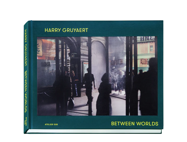 Harry Gruyaert - Between Worlds - Image 2
