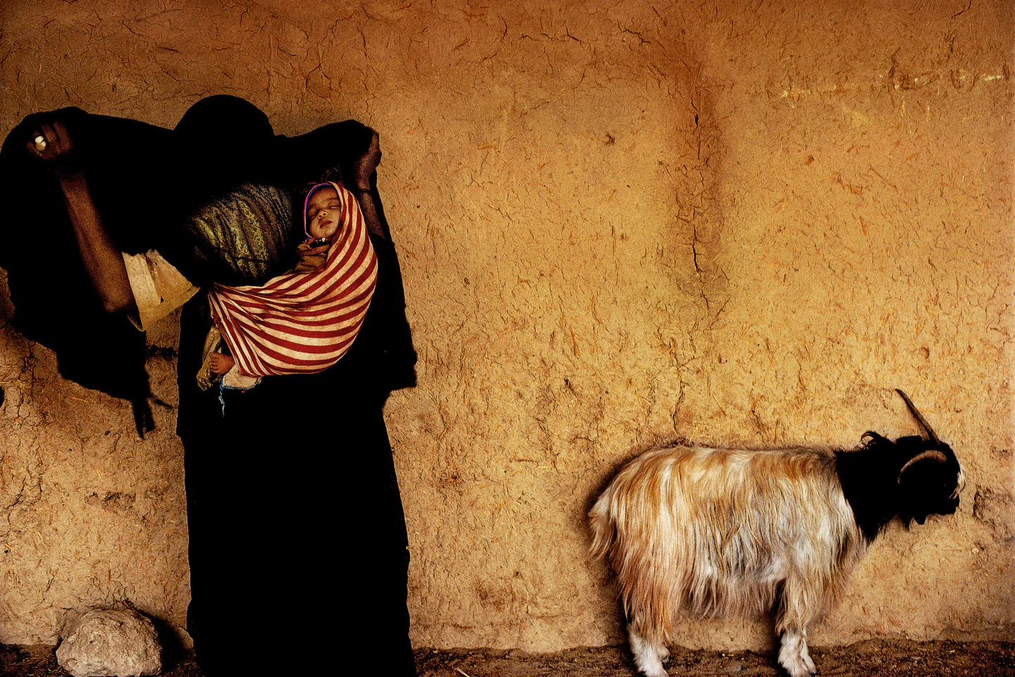 Harry Gruyaert - Morocco - Image 2