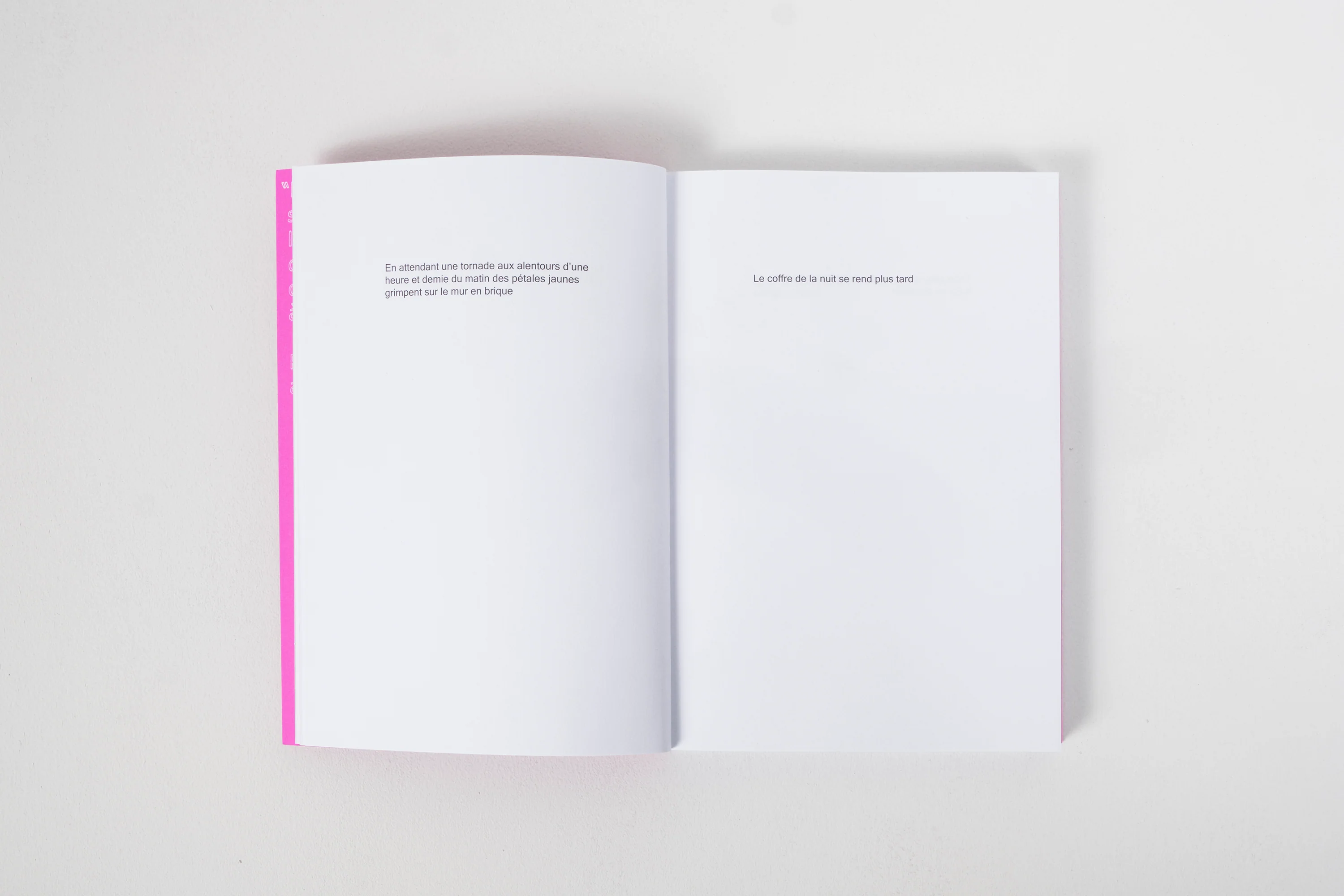Haydée Touitou - Still Life Poems - Image 9