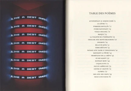 Henri Cole & Jenny Holzer - Vingt-deux poèmes - Image 2