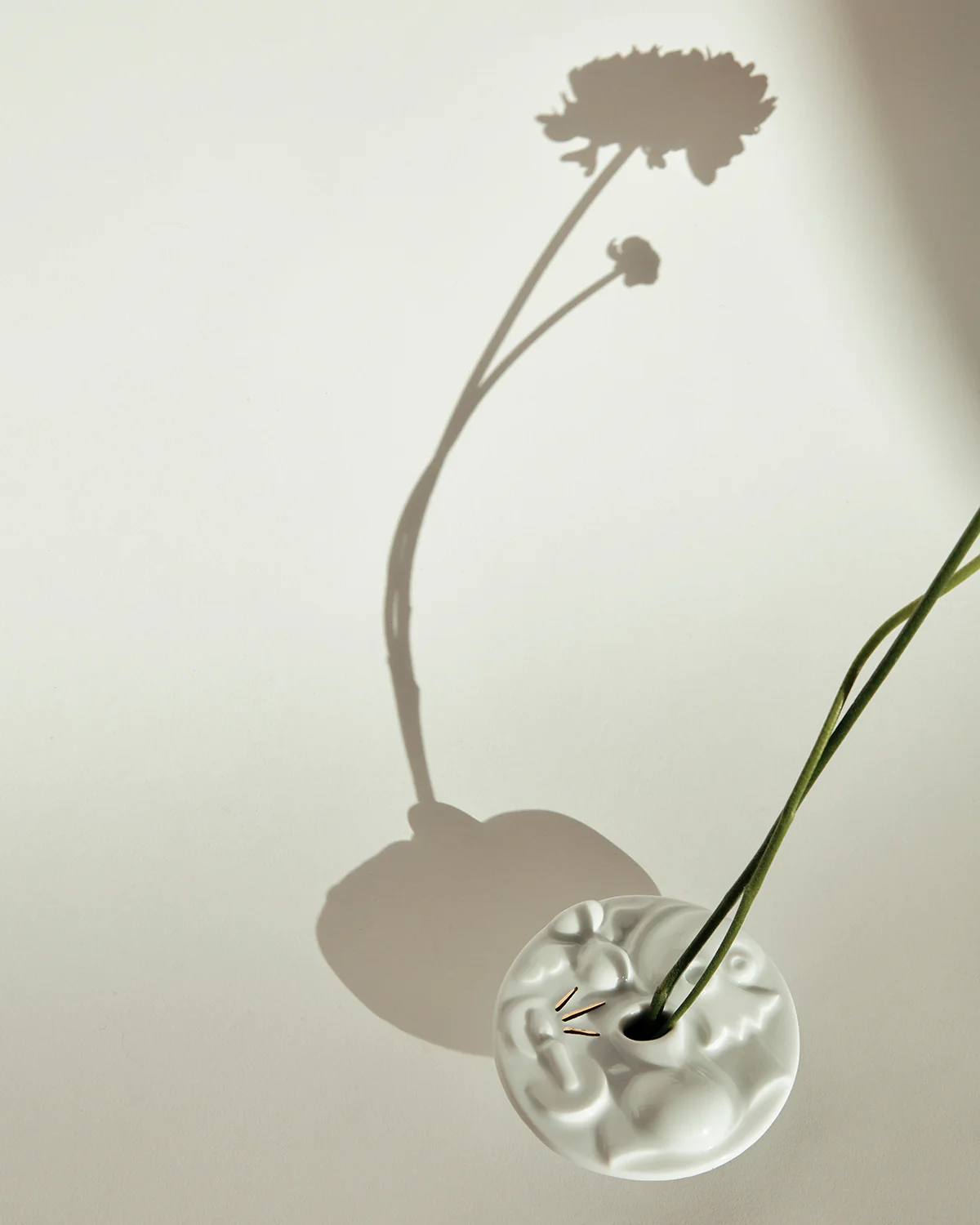 Hubert Le Gall - Memento Mori - Image 5
