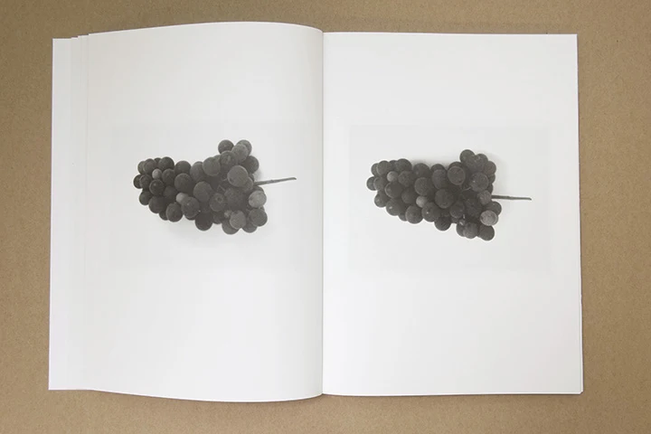 Jochen Lempert - Paare / Pairs - Image 11