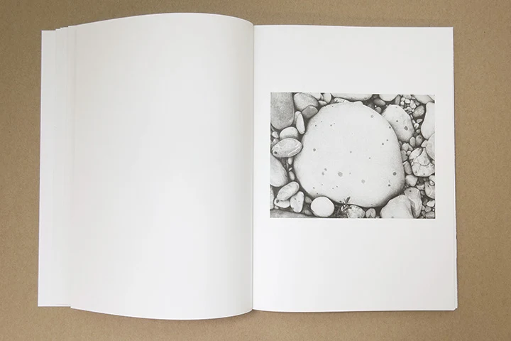 Jochen Lempert - Paare / Pairs - Image 12