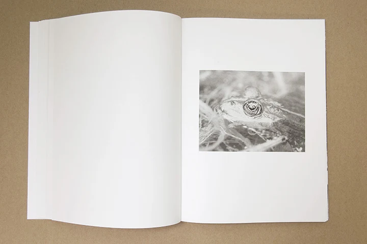 Jochen Lempert - Paare / Pairs - Image 14