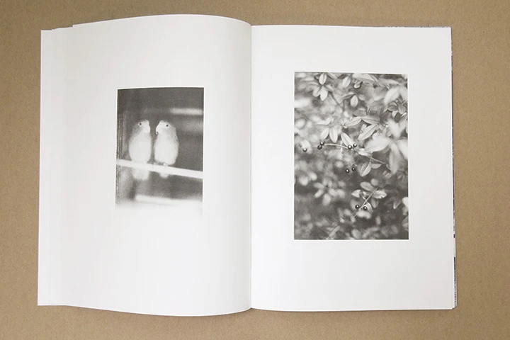 Jochen Lempert - Paare / Pairs - Image 15
