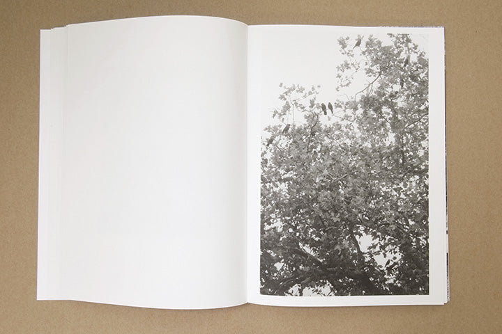 Jochen Lempert - Paare / Pairs - Image 16