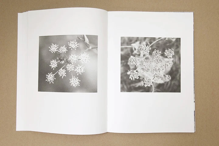 Jochen Lempert - Paare / Pairs - Image 17