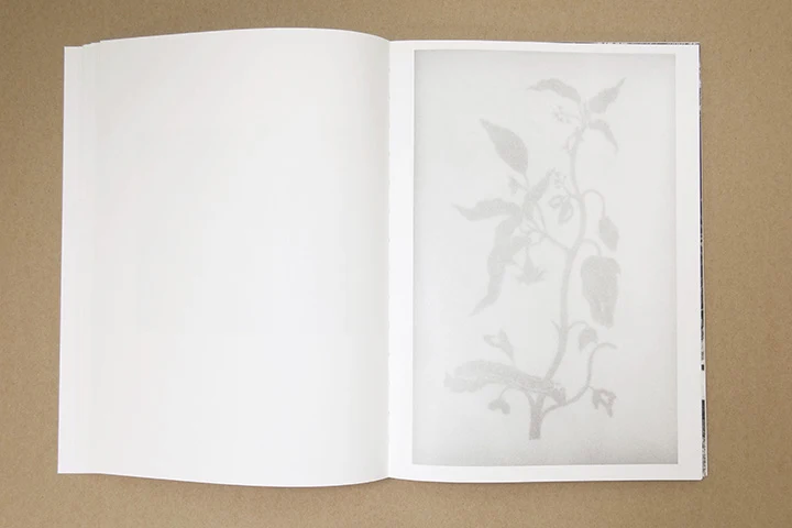 Jochen Lempert - Paare / Pairs - Image 18