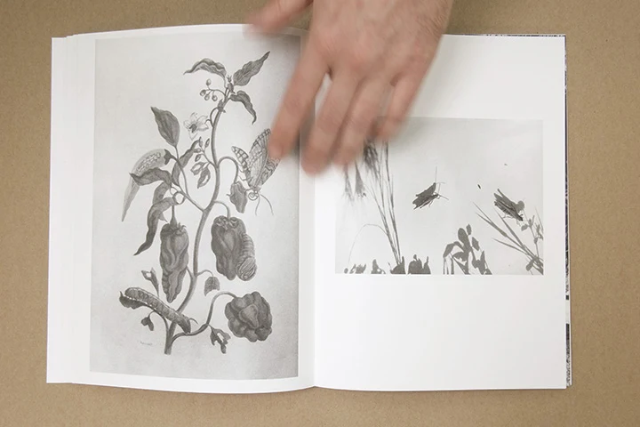 Jochen Lempert - Paare / Pairs - Image 19