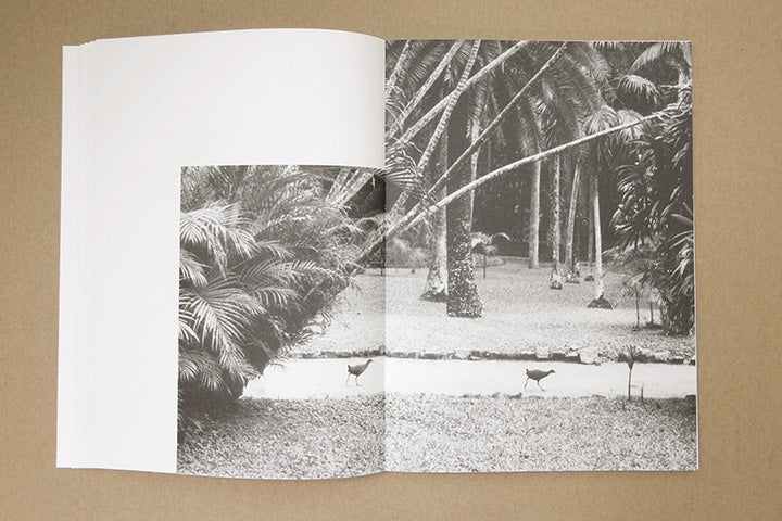 Jochen Lempert - Paare / Pairs - Image 21