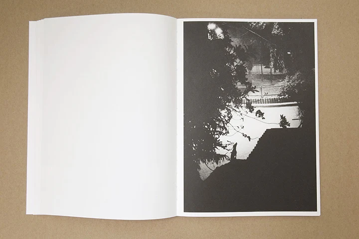 Jochen Lempert - Paare / Pairs - Image 22