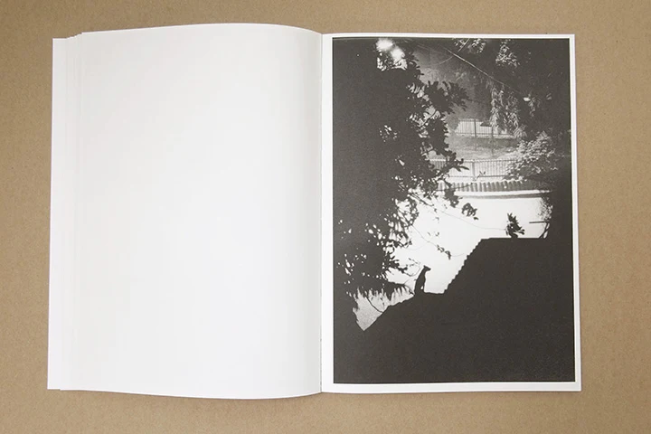 Jochen Lempert - Paare / Pairs - Image 23