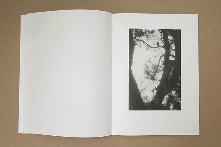 Jochen Lempert - Paare / Pairs - Image 24