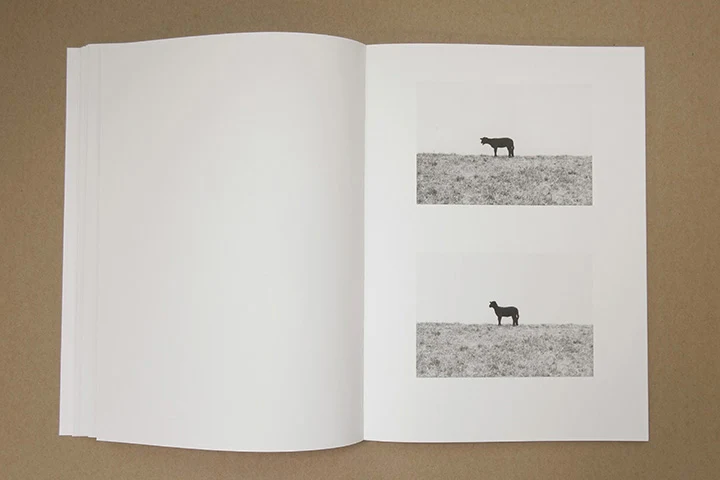 Jochen Lempert - Paare / Pairs - Image 25