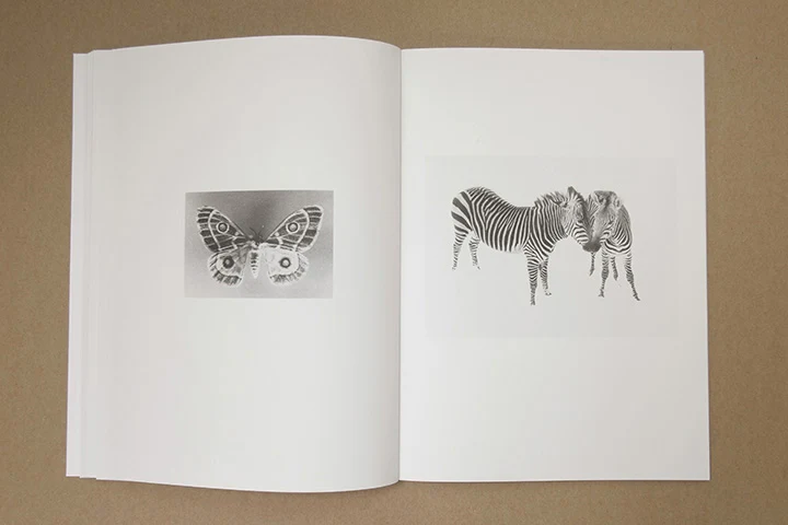 Jochen Lempert - Paare / Pairs - Image 27