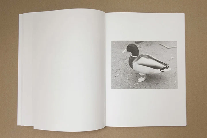 Jochen Lempert - Paare / Pairs - Image 28