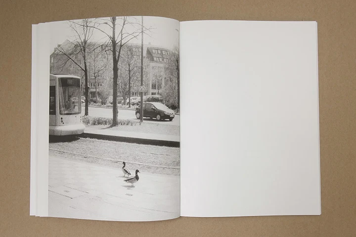Jochen Lempert - Paare / Pairs - Image 29