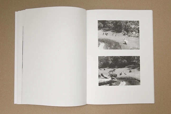 Jochen Lempert - Paare / Pairs - Image 30