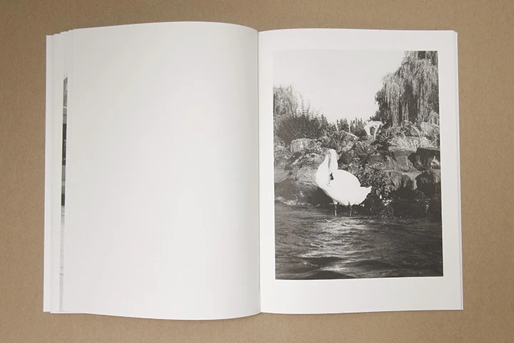 Jochen Lempert - Paare / Pairs - Image 33