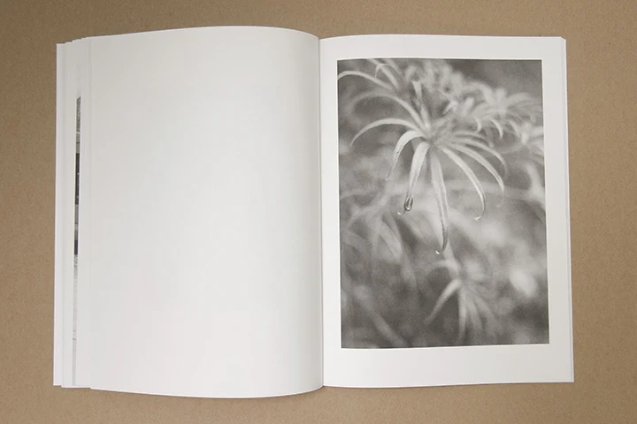 Jochen Lempert - Paare / Pairs - Image 34