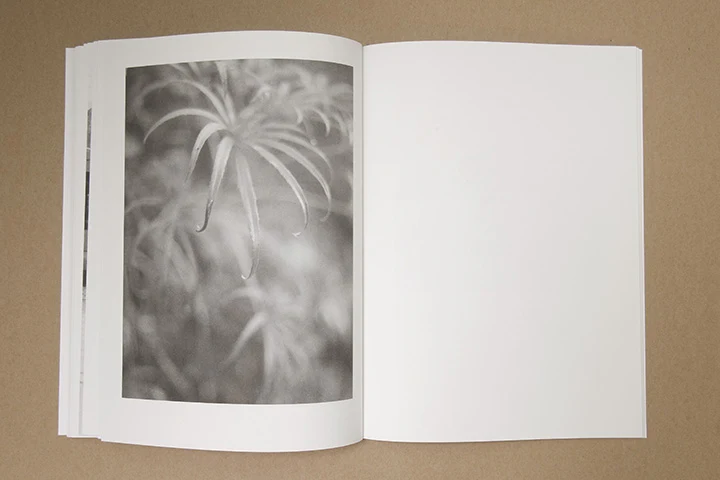 Jochen Lempert - Paare / Pairs - Image 35