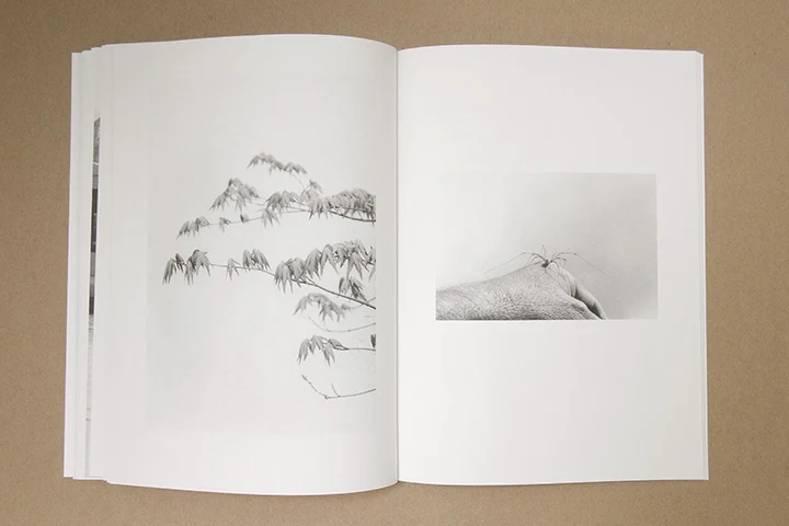 Jochen Lempert - Paare / Pairs - Image 36