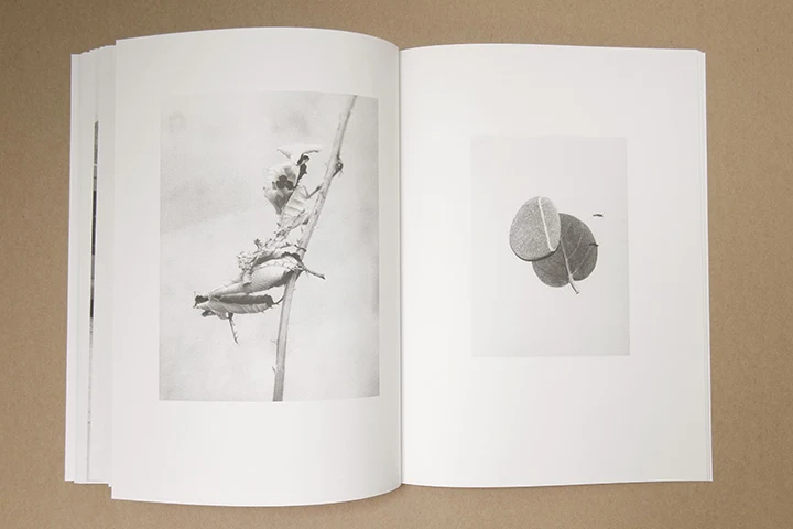 Jochen Lempert - Paare / Pairs - Image 37