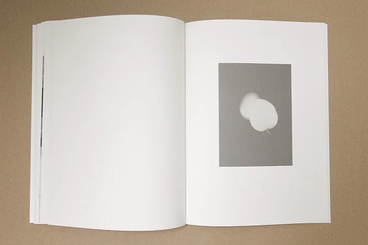 Jochen Lempert - Paare / Pairs - Image 38