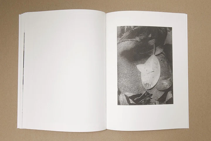 Jochen Lempert - Paare / Pairs - Image 39